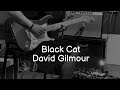 BLACK CAT - David Gilmour (Luck and Strange NEW Album)