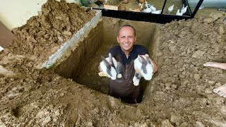 Building Underground Rabbit House | Mud House For Rabbits | Mubashir Saddique | Village Food Secrets