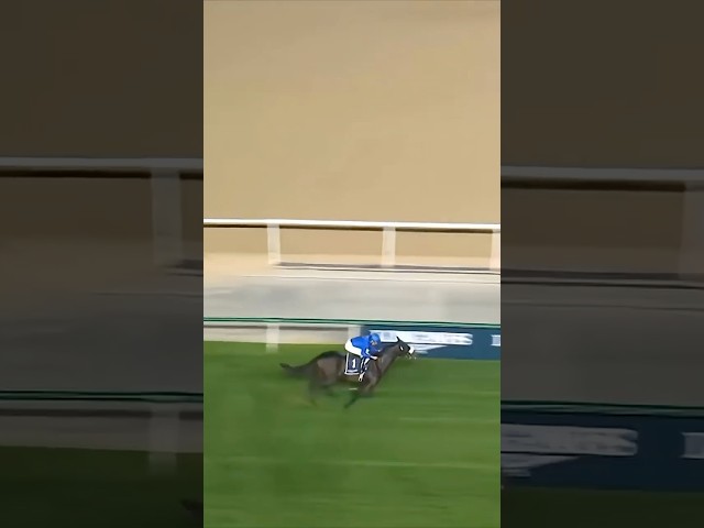 Thumbnail for Post ID: ibvxUJEPAmM