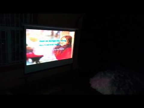 Ora Pământului la Argetoaia - 24 martie 2018 - karaoke