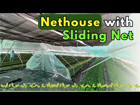 Video 5 Thumbnail
