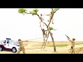 Ziddi Police V/s kaidi | Nonstop Comedy 🤪 video Amazing Funny Story || Apna Fun Joke
