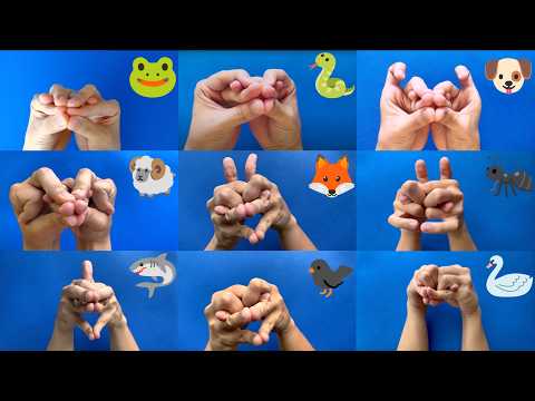 Make 10 Animal Puppets with your Hands! Compilation (Part 1)