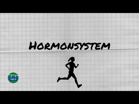 Hormone system basics | endocrine system | simply explained!