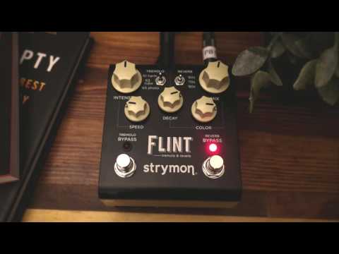 Strymon Flint Demo (The Reason I Sold My Strymon BigSky)