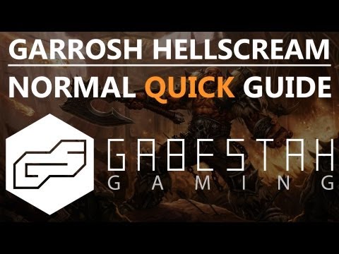Garrosh Hellscream Normal Quick Raid Guide [VOX]
