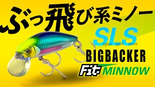 [SLS] Super Light Shore Exclusive Heavy Minnow / BIG BACKER Fit MINNOW / Yasuyuki YASUYUKI ICHIMIYA / Hitoki Ishikawa / Shogo SHOGO MURAKAMI