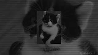 Download lagu Someone to stay - Speed up mp3