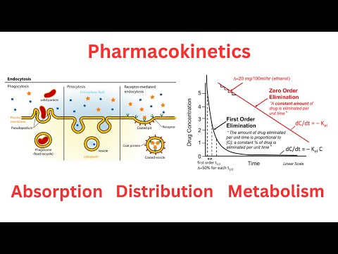 Pharmacokinetics Absorption, Distribution, Metabolism, Excretion or Clearance | Pharmacology