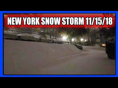 Snow Storm in New York 11/15/18 (PTD Vlogs Day 367) (Blizzard 2018)