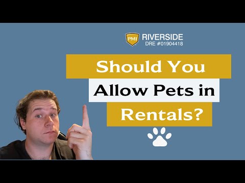 Should You Allow Pets in Your Riverside Rental Property?