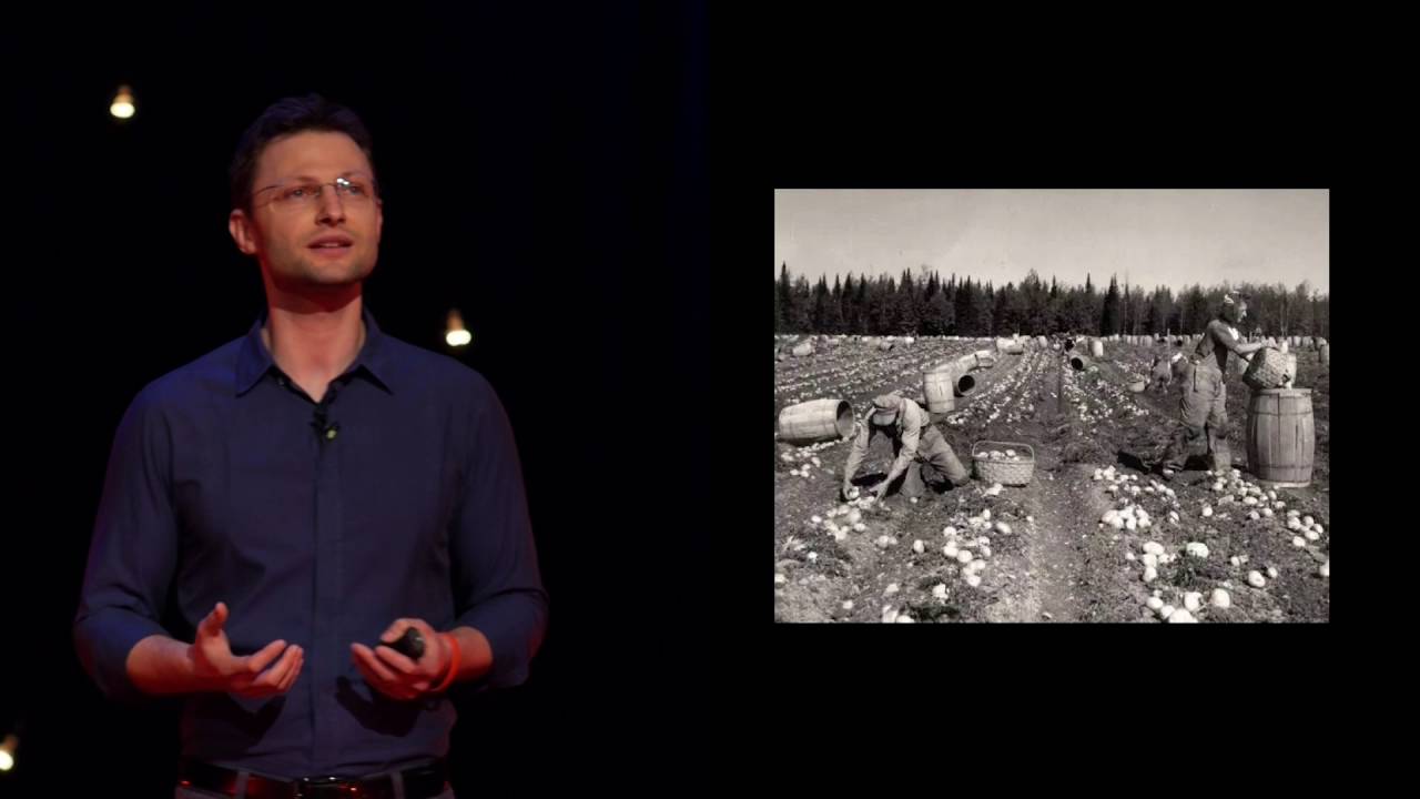 Why curiosity and mentorship will change your life | Bogdan Gogu | TEDxAUBG