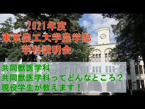 東京農工大学農学部共同獣医学科 2021学科説明会 共同獣医学科ってどんなところ？現役学生が教えます！