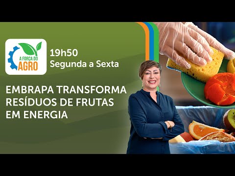A Força do Agro, com Joice Maffezzolli - Embrapa transforma resíduos de frutas em energia