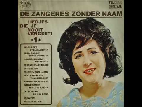 Zangeres Zonder Naam   Liedjes die je nooit vergeet