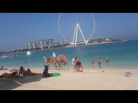 #Camel Ride at #JBR The Beach #Dubai