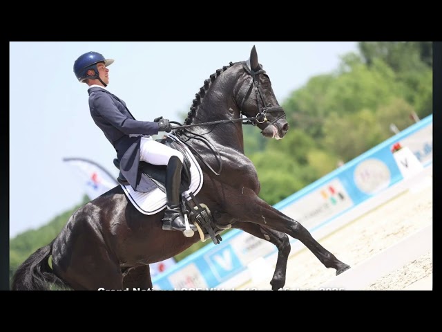 Top pouliche SFO 2025 : 4 grands-parents > 145