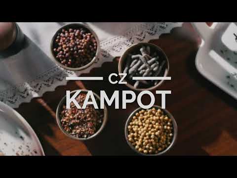 Náhled pro video reference