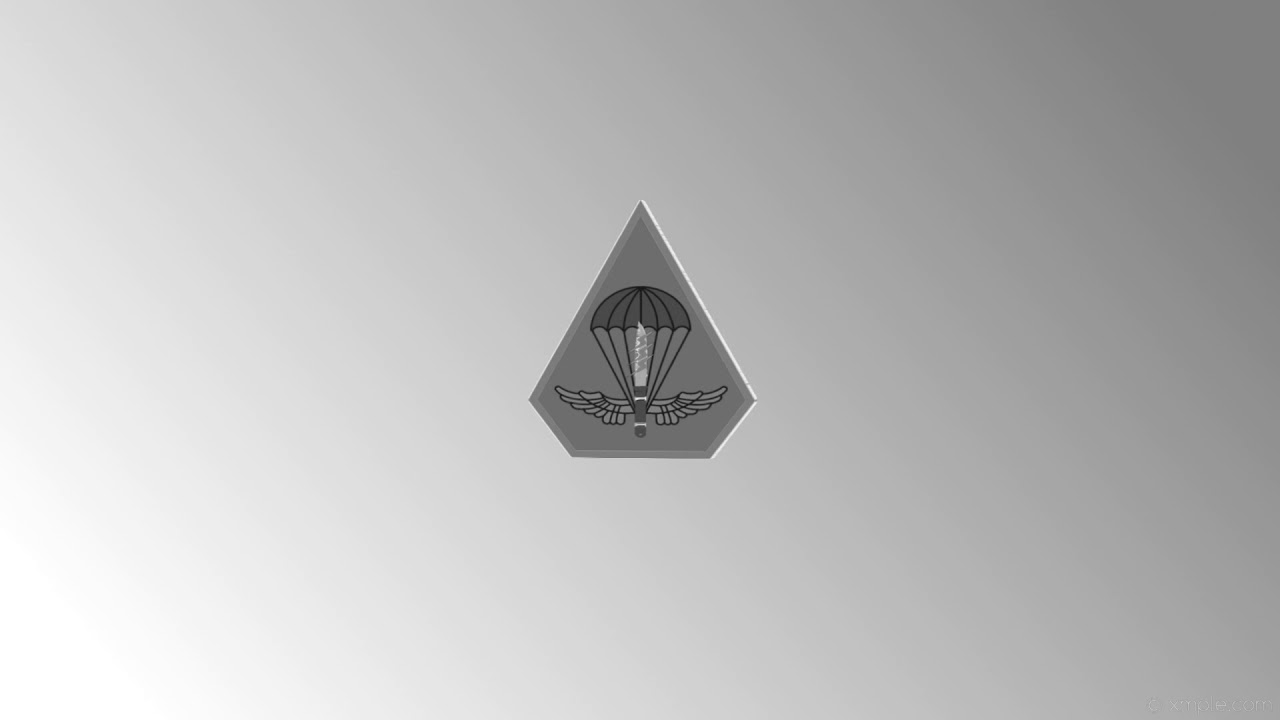 R.O.C. Army Special Forces Airborne logo *test*