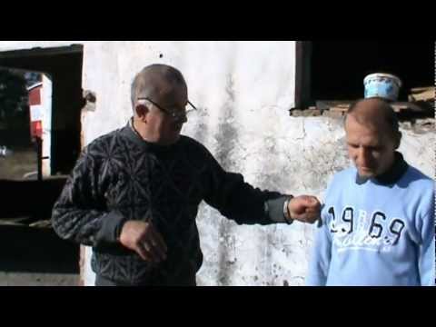 3. Video Apicultura - Teorie si practica despre avantajele iernatului 3 in 1 la Bio Stup vatra 3/4