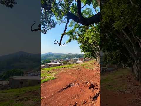 Imagem de nossa senhora aparecida em Carvalhopolis mg