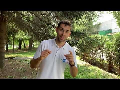 Apple iPhone XR Sample Video