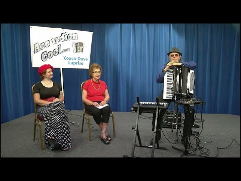 Accordion Cool 3821