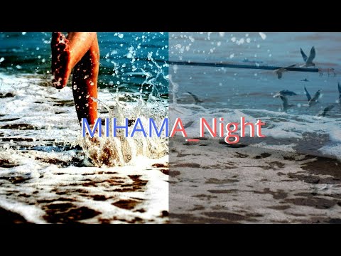 美浜  夜  MIHAMA_Night  Tokyo Bay Piano Music 2020 Video