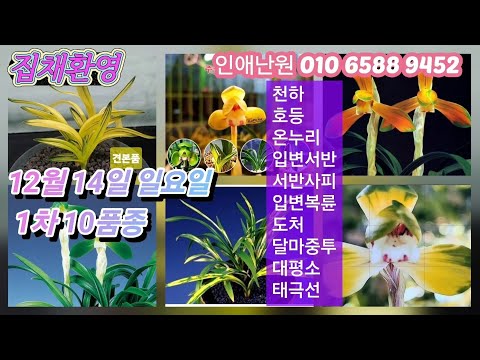 유튜브 썸네일