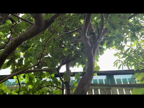 All is One (_hill73n_)