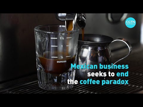 Mexican business seeks to end coffee paradox