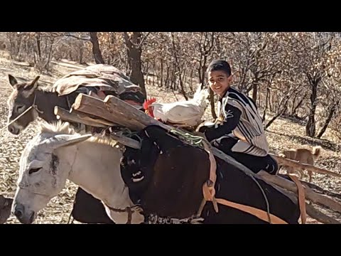 "Wandering Horizons: The Nomadic Journey"@eil.2024