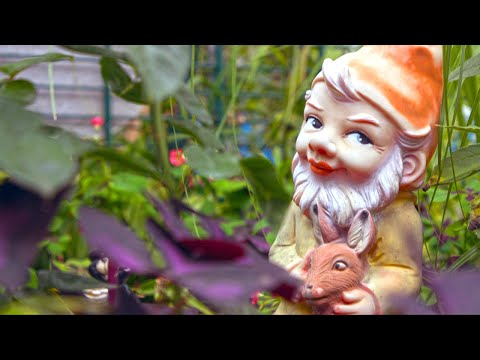 Spießer oder Rebellen - Die Geschichte der Schrebergärten Doku HD