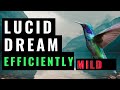 Lucid Dream With The Most Efficient Technique (MILD Technique) - Full Tutorial