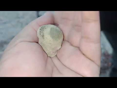 DETECTORISMO NO DESERTO MONSENHOR GIL PIAUI 