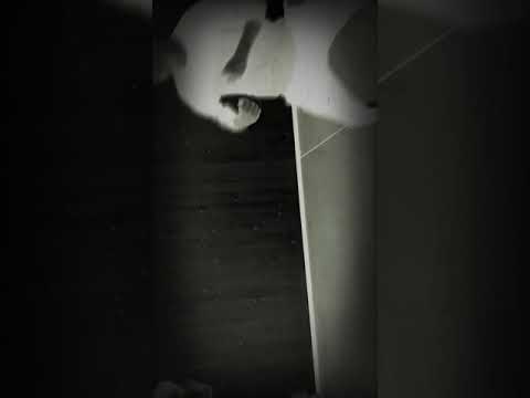 BRUCE LEE VS THANOS OMG DANGEROUS 360 NOSCOPE OMG🤯☄🔞🔥