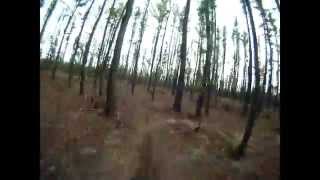 preview picture of video 'Wharton State Forest Mountain Biking'