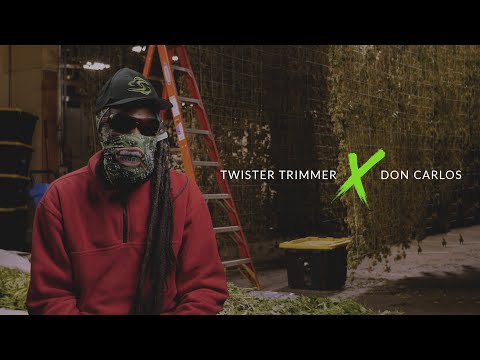Twister T4 | Twister Trimmer x Don Carlos
