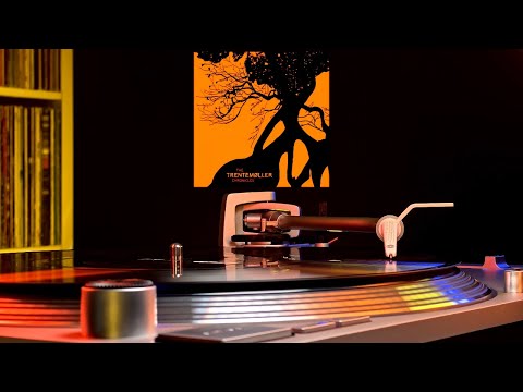 DJuma Soundsystem - Les Djinns - Trentemøller Remix (2007)