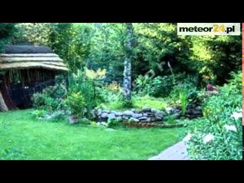 Domek do Wynajęcia - Łupstych meteor24.pl