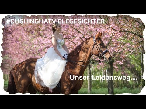 #CUSHINGHATSMANYFACES - Our ordeal....