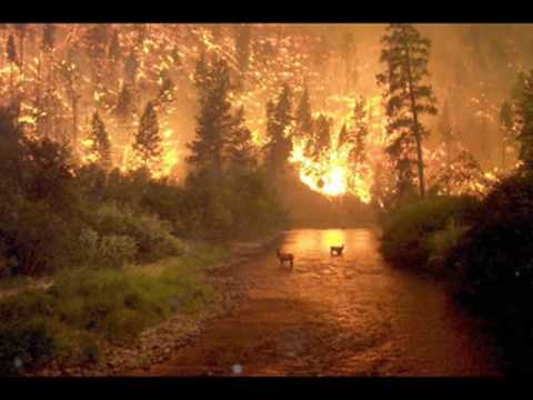 Roland Brant - Mastermind