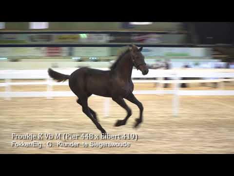 Centrale Keuring 2017 Kampioenschap veulens