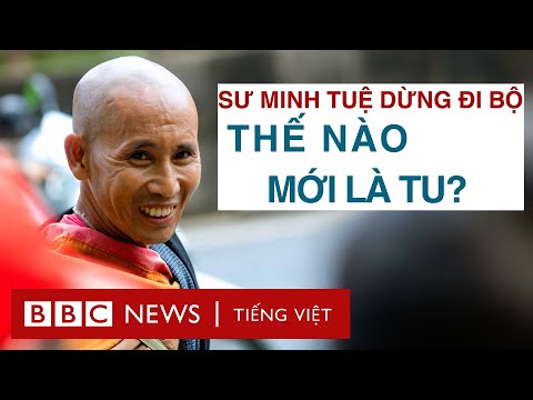 Từ Hiện Tượng Sư Thích Minh Tuệ — Thế Nào Mới Là Tu?