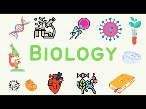 #1 A Level Biology - Biological Molecules
