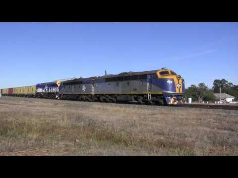 Train 2170 with S311 S300 CM3311 at Bungendore yard