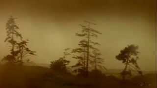 Tom Waits: No One Knows I'm Gone