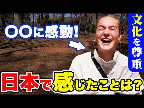 国際教養学科 「日本人の優しさに感動したわ！」再来日の外国人に日本の印象や素敵な体験を聞いてみた！｜【外国人観光客にインタビュー】【海外の反応】