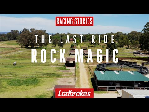 Rock Magic Will Finish His Incredible Career In The 2021 Winterbottom Stakes