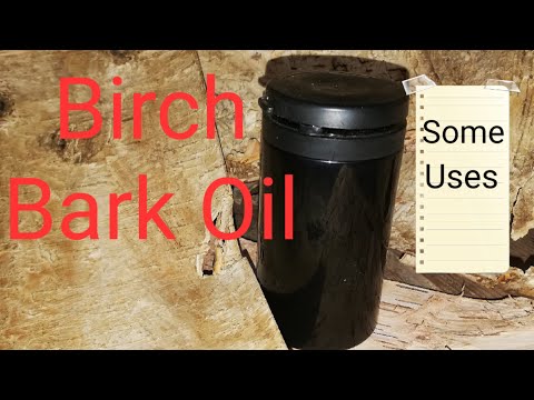 Uses for Birch oil. Natural resources